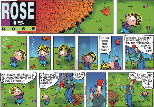 Rose is Rose - Sunday November 13, 2022 Comic Strip