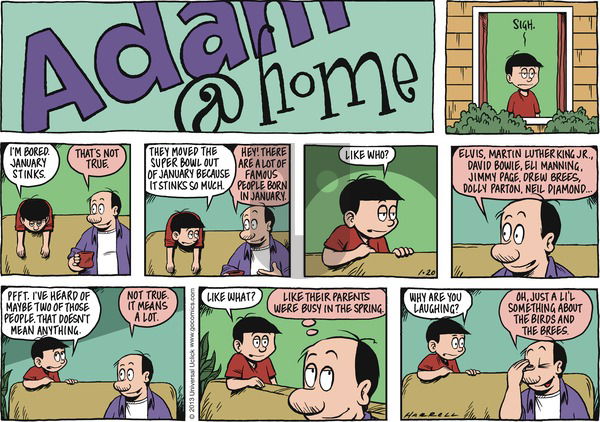 Adam@Home on Sunday January 20, 2013 Comic Strip