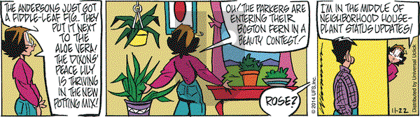 Rose is Rose on Saturday November 22, 2014 Comic Strip