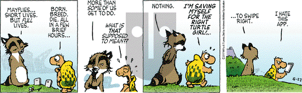 Over the Hedge on Saturday May 27, 2017 Comic Strip
