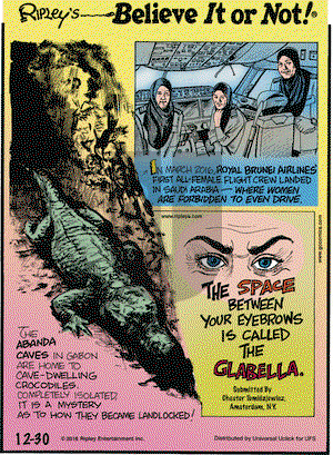 Ripley's Believe It or Not on Friday December 30, 2016 Comic Strip
