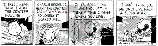 Peanuts on Wednesday August 26, 1992 Comic Strip