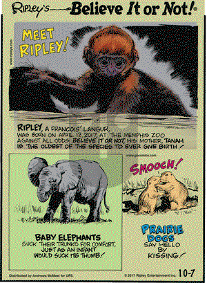 Ripley's Believe It or Not on Saturday October 7, 2017 Comic Strip