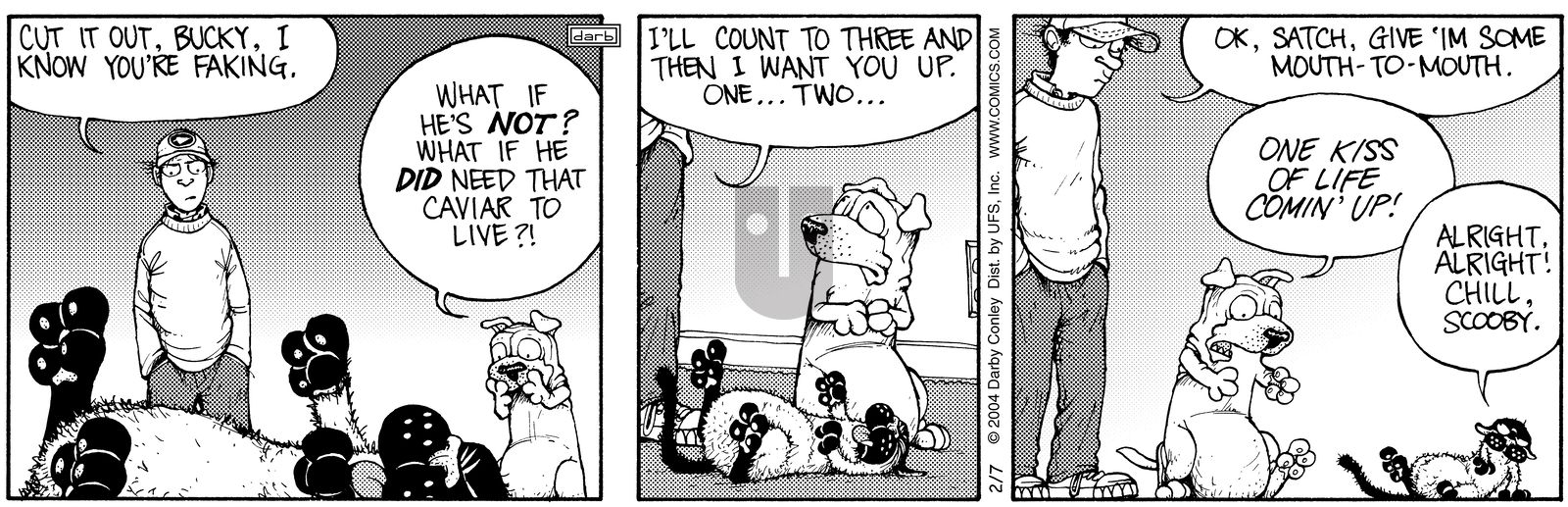 Get Fuzzy - Saturday February 7, 2004 Comic Strip