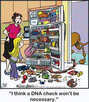 Marmaduke on Wednesday January 21, 2015 Comic Strip
