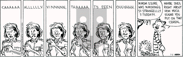 Calvin and Hobbes on Thursday July 2, 2015 Comic Strip