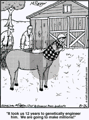 Close to Home on Friday August 26, 2005 Comic Strip