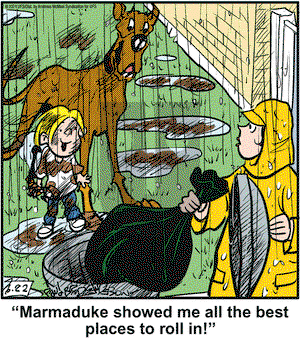 Marmaduke on Tuesday June 22, 2021 Comic Strip