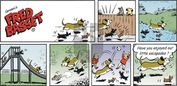 Fred Basset on Sunday May 10, 2020 Comic Strip