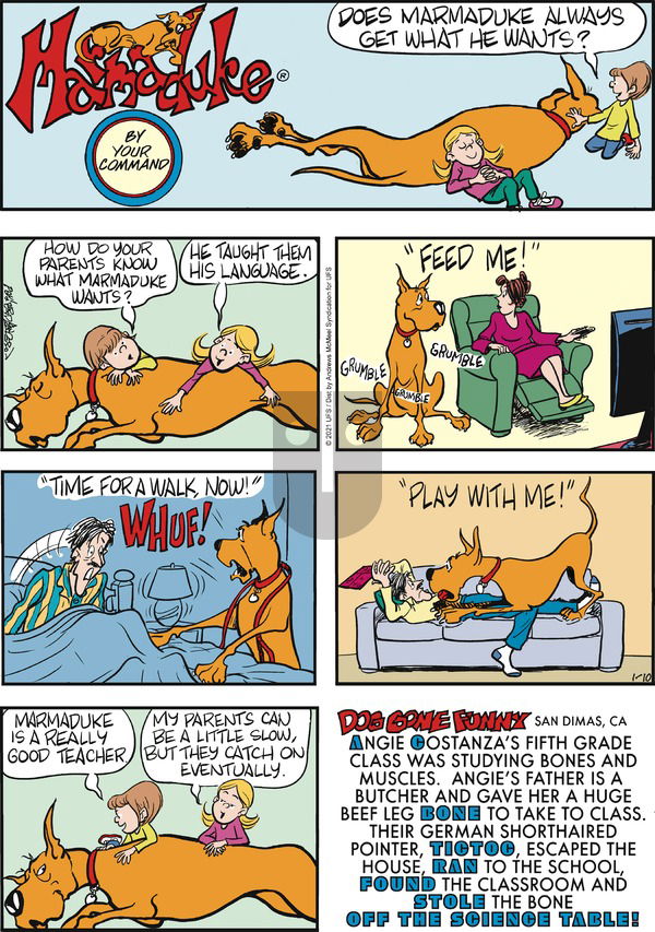 Marmaduke on Sunday January 10, 2021 Comic Strip