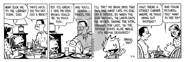 Calvin and Hobbes on Tuesday July 4, 1989 Comic Strip
