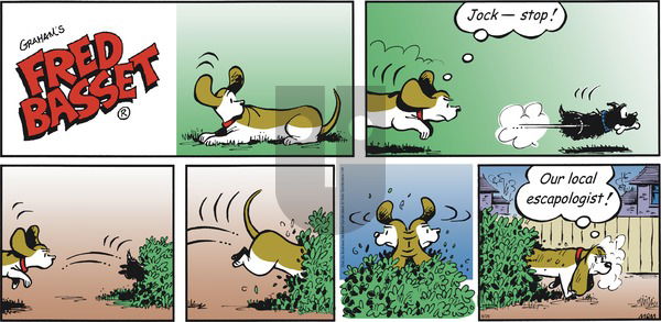 Fred Basset on Sunday August 26, 2018 Comic Strip