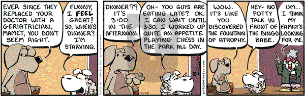 DeFlocked on Wednesday July 15, 2009 Comic Strip