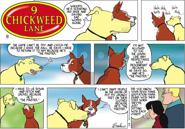 9 Chickweed Lane on Sunday November 13, 2016 Comic Strip