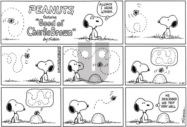 Peanuts on Sunday July 25, 1971 Comic Strip