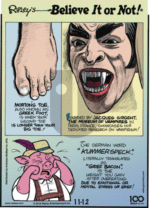 Ripley's Believe It or Not on Tuesday November 12, 2019 Comic Strip