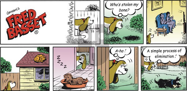 Fred Basset - Sunday June 26, 2022 Comic Strip