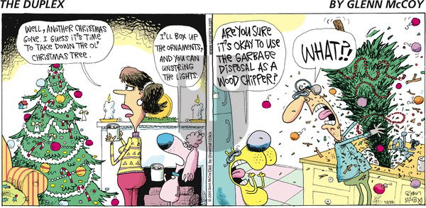 The Duplex on Sunday December 29, 2013 Comic Strip