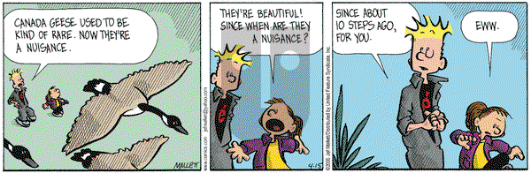 Frazz on Saturday April 15, 2006 Comic Strip