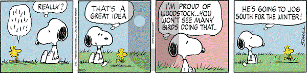 Peanuts - Wednesday September 25, 2024 Comic Strip