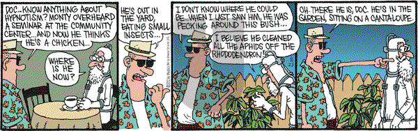 Monty on Saturday June 23, 2012 Comic Strip