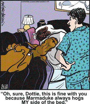Marmaduke - Tuesday March 12, 2024 Comic Strip