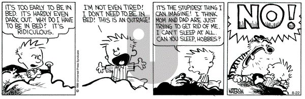 Calvin and Hobbes on Thursday August 22, 1991 Comic Strip