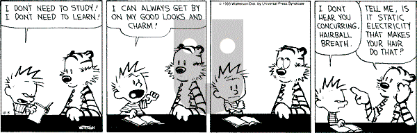 Calvin and Hobbes - Tuesday October 5, 1993 Comic Strip