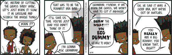 The Boondocks on Saturday June 24, 2006 Comic Strip