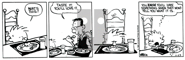 Calvin and Hobbes on Saturday November 23, 1985 Comic Strip