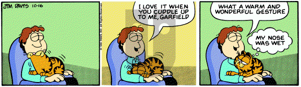 Garfield on Saturday October 16, 1982 Comic Strip