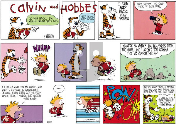 Calvin and Hobbes on Sunday November 15, 1987 Comic Strip