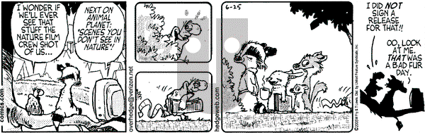 Over the Hedge on Saturday June 25, 2005 Comic Strip