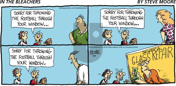 In the Bleachers - Sunday January 19, 2014 Comic Strip