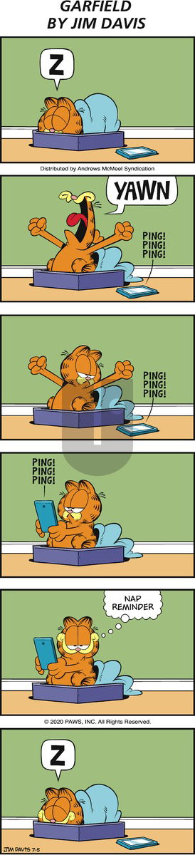 Garfield on Sunday July 5, 2020 Comic Strip