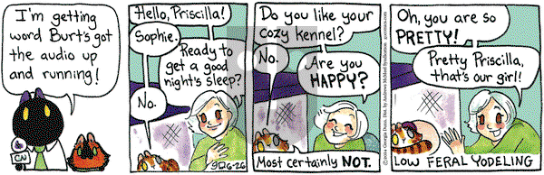 Breaking Cat News - Wednesday June 26, 2024 Comic Strip