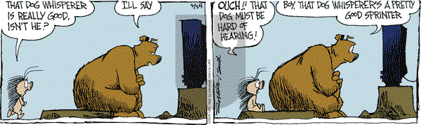 The Grizzwells on Wednesday February 24, 2016 Comic Strip