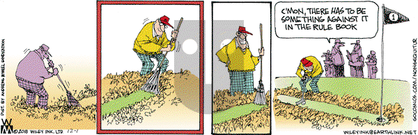 Non Sequitur - Saturday December 1, 2018 Comic Strip