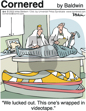 Cornered on Tuesday June 4, 2002 Comic Strip