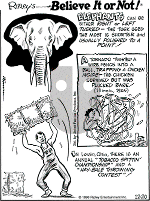 Ripley's Believe It or Not on Friday December 20, 1996 Comic Strip