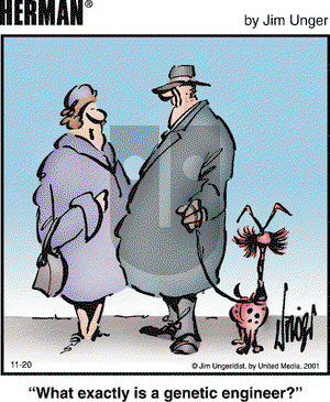 Herman on Tuesday November 20, 2001 Comic Strip