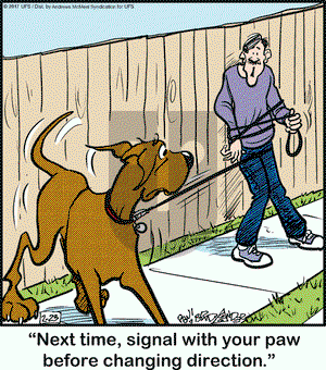 Marmaduke on Thursday February 23, 2017 Comic Strip