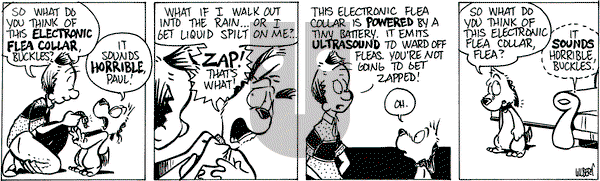 Buckles - Wednesday May 1, 2024 Comic Strip