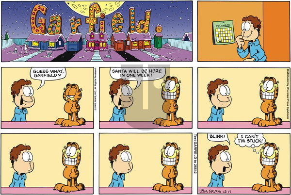 Garfield on Sunday December 17, 2006 Comic Strip