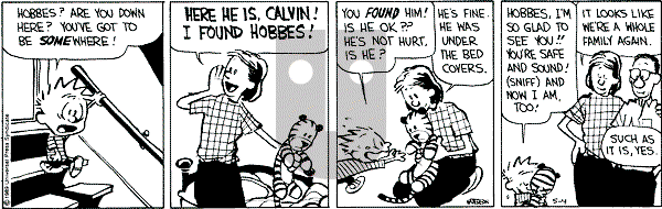 Calvin and Hobbes - Thursday May 4, 1989 Comic Strip