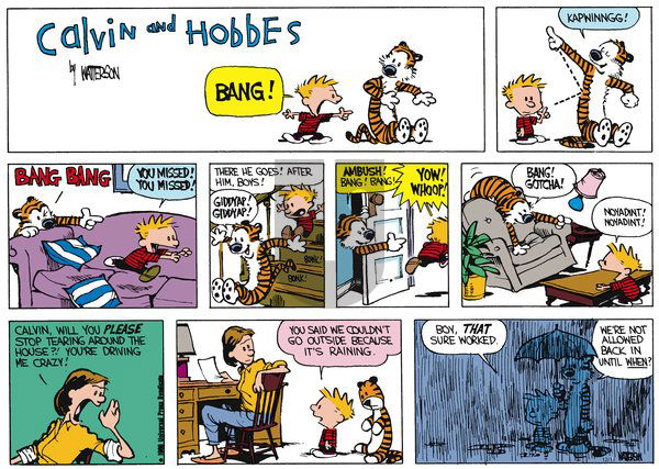Calvin and Hobbes - Sunday December 11, 2011 Comic Strip
