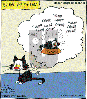 Kit 'N' Carlyle on Tuesday March 24, 2009 Comic Strip