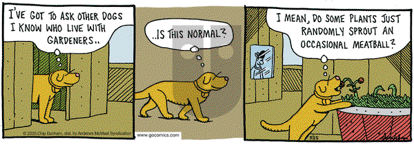Overboard on Thursday May 15, 2025 Comic Strip