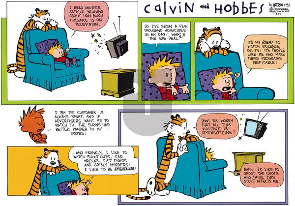 Calvin and Hobbes on Sunday August 29, 1993 Comic Strip
