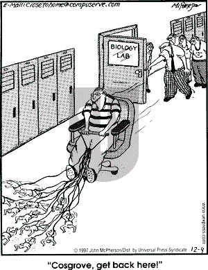 Close to Home - Thursday December 4, 1997 Comic Strip